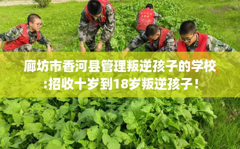 廊坊市香河县管理叛逆孩子的学校:招收十岁到18岁叛逆孩子! 廊坊市香河县管理叛逆孩子的学校:招收十岁到18岁叛逆孩子!