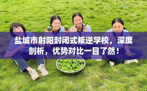 盐城市射阳封闭式叛逆学校，深度剖析，优势对比一目了然！