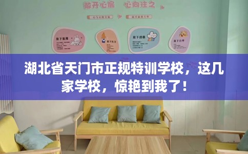 湖北省天门市正规特训学校,这几家学校,惊艳到我了! 湖北省天门市正规特训学校,这几家学校,惊艳到我了!