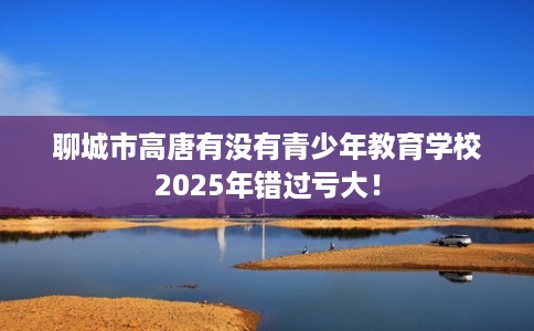 聊城市高唐有没有青少年教育学校2025年错过亏大！