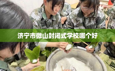 济宁市微山封闭式学校哪个好
