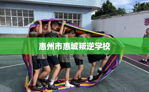 惠州市惠城叛逆学校