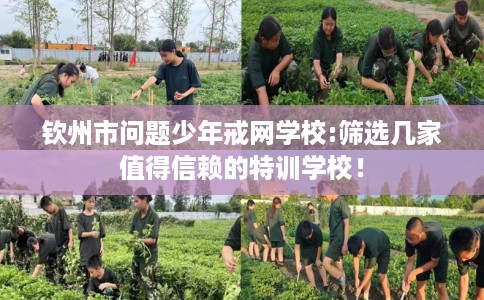 钦州市问题少年戒网学校:筛选几家值得信赖的特训学校！