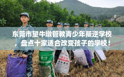 东莞市望牛墩管教青少年叛逆学校，盘点十家适合改变孩子的学校！