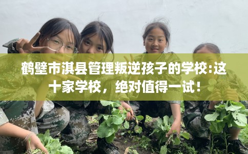 鹤壁市淇县管理叛逆孩子的学校:这十家学校，绝对值得一试！