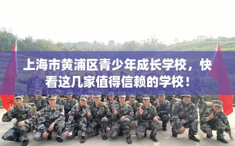 上海市黄浦区青少年成长学校，快看这几家值得信赖的学校！