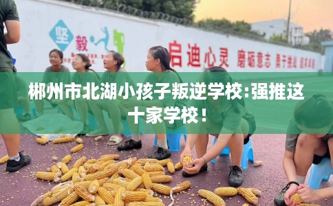 郴州市北湖小孩子叛逆学校:强推这十家学校! 郴州市北湖小孩子叛逆学校:强推这十家学校!