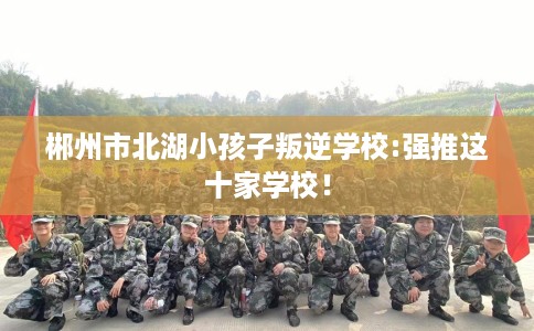 郴州市北湖小孩子叛逆学校:强推这十家学校！