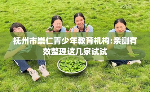 抚州市崇仁青少年教育机构:亲测有效整理这几家试试