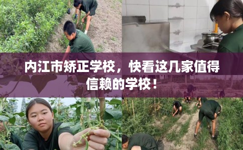 内江市矫正学校，快看这几家值得信赖的学校！