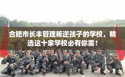 合肥市长丰管理叛逆孩子的学校，精选这十家学校必有你需！