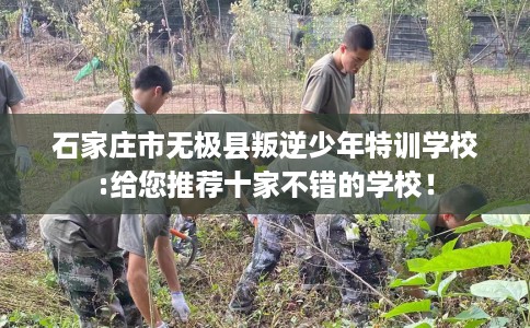 石家庄市无极县叛逆少年特训学校:给您推荐十家不错的学校! 石家庄市无极县叛逆少年特训学校:给您推荐十家不错的学校!