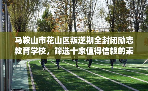 马鞍山市花山区叛逆期全封闭励志教育学校,筛选十家值得信赖的素质学校! 马鞍山市花山区叛逆期全封闭励志教育学校,筛选十家值得信赖的素质学校!