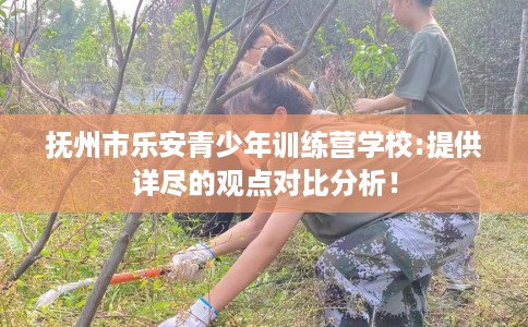 抚州市乐安青少年训练营学校:提供详尽的观点对比分析！