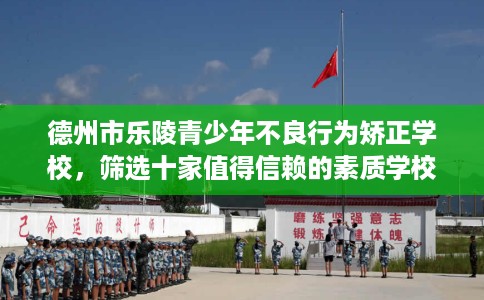 德州市乐陵青少年不良行为矫正学校，筛选十家值得信赖的素质学校！