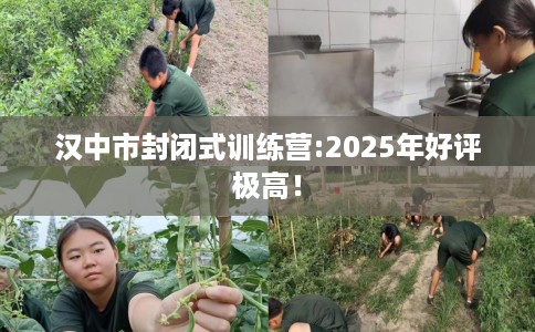 汉中市封闭式训练营:2025年好评极高！