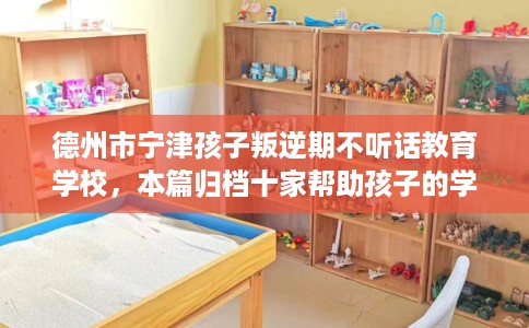 德州市宁津孩子叛逆期不听话教育学校,本篇归档十家帮助孩子的学校! 德州市宁津孩子叛逆期不听话教育学校,本篇归档十家帮助孩子的学校!