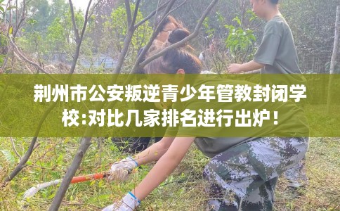 荆州市公安叛逆青少年管教封闭学校:对比几家排名进行出炉！