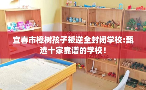 宜春市樟树孩子叛逆全封闭学校:甄选十家靠谱的学校！