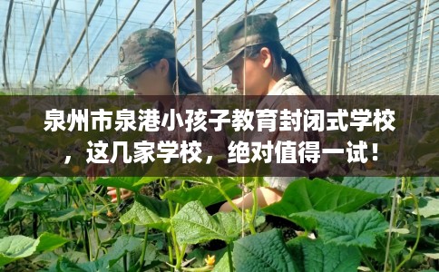 泉州市泉港小孩子教育封闭式学校,这几家学校,绝对值得一试! 泉州市泉港小孩子教育封闭式学校,这几家学校,绝对值得一试!