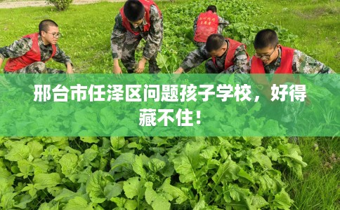 邢台市任泽区问题孩子学校,好得藏不住! 邢台市任泽区问题孩子学校,好得藏不住!