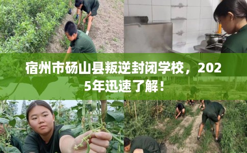 宿州市砀山县叛逆封闭学校，2025年迅速了解！