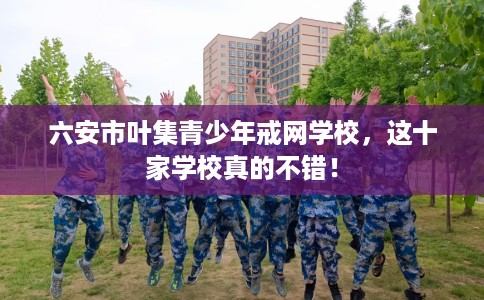 六安市叶集青少年戒网学校，这十家学校真的不错！