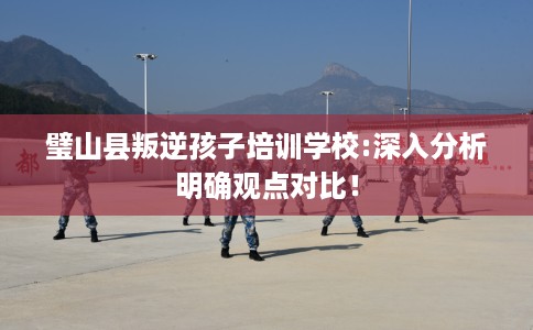 璧山县叛逆孩子培训学校:深入分析明确观点对比！