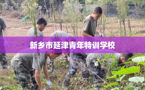 新乡市延津青年特训学校
