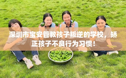 深圳市宝安管教孩子叛逆的学校，矫正孩子不良行为习惯！