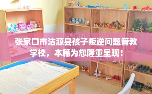 张家口市沽源县孩子叛逆问题管教学校，本篇为您隆重呈现！