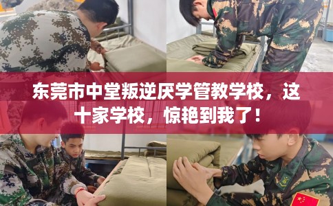 东莞市中堂叛逆厌学管教学校,这十家学校,惊艳到我了! 东莞市中堂叛逆厌学管教学校,这十家学校,惊艳到我了!