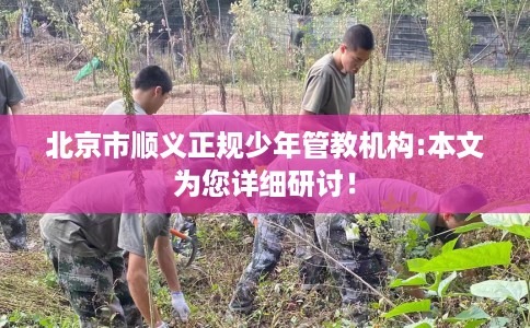 北京市顺义正规少年管教机构:本文为您详细研讨！