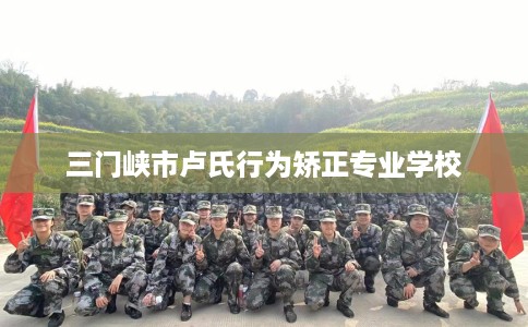 三门峡市卢氏行为矫正专业学校