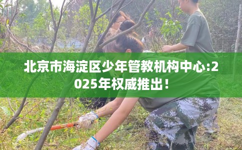 北京市海淀区少年管教机构中心:2025年权威推出！