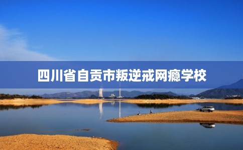 四川省自贡市叛逆戒网瘾学校