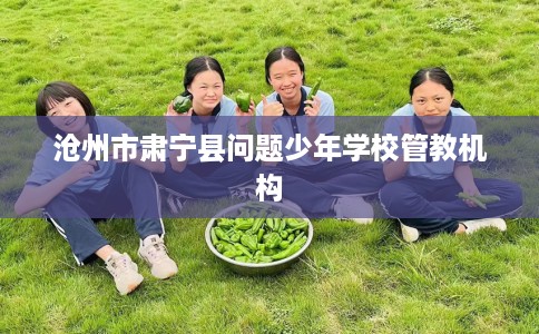 沧州市肃宁县问题少年学校管教机构 沧州市肃宁县问题少年学校管教机构