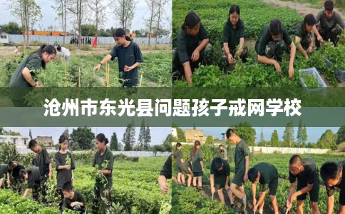 沧州市东光县问题孩子戒网学校 沧州市东光县问题孩子戒网学校