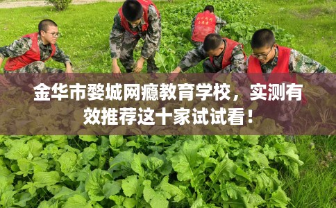 金华市婺城网瘾教育学校，实测有效推荐这十家试试看！