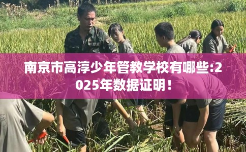 南京市高淳少年管教学校有哪些:2025年数据证明！