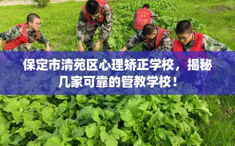 保定市清苑区心理矫正学校，揭秘几家可靠的管教学校！