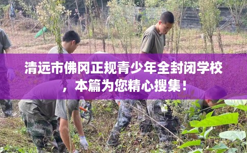 清远市佛冈正规青少年全封闭学校，本篇为您精心搜集！