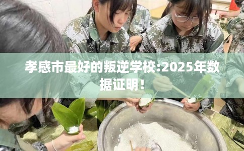 孝感市最好的叛逆学校:2025年数据证明！