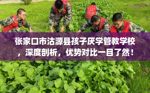 张家口市沽源县孩子厌学管教学校，深度剖析，优势对比一目了然！