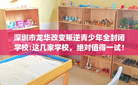 深圳市龙华改变叛逆青少年全封闭学校:这几家学校,绝对值得一试! 深圳市龙华改变叛逆青少年全封闭学校:这几家学校,绝对值得一试!