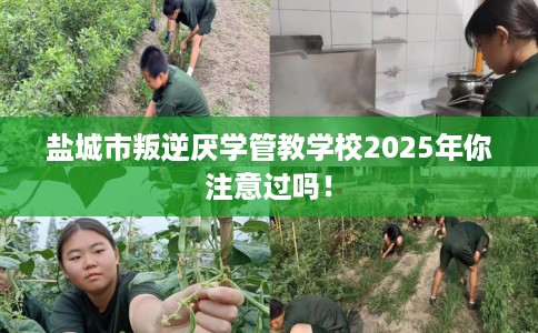 盐城市叛逆厌学管教学校2025年你注意过吗！