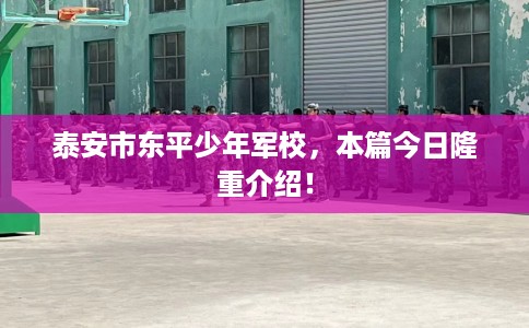 泰安市东平少年军校，本篇今日隆重介绍！