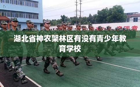 湖北省神农架林区有没有青少年教育学校