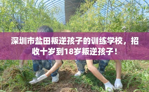 深圳市盐田叛逆孩子的训练学校，招收十岁到18岁叛逆孩子！