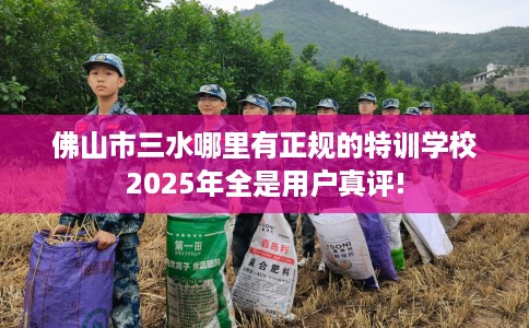 佛山市三水哪里有正规的特训学校2025年全是用户真评! 佛山市三水哪里有正规的特训学校2025年全是用户真评!